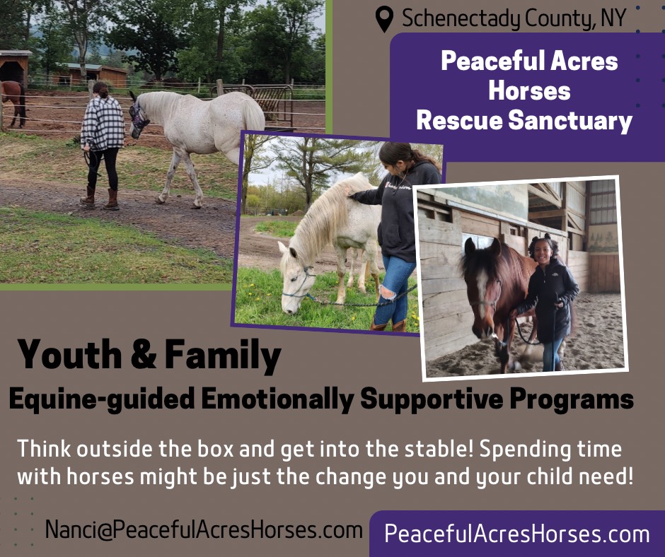 Horse Rescue Saratoga NY | Horse Sanctuary Pattersonville NY | Donkey ...