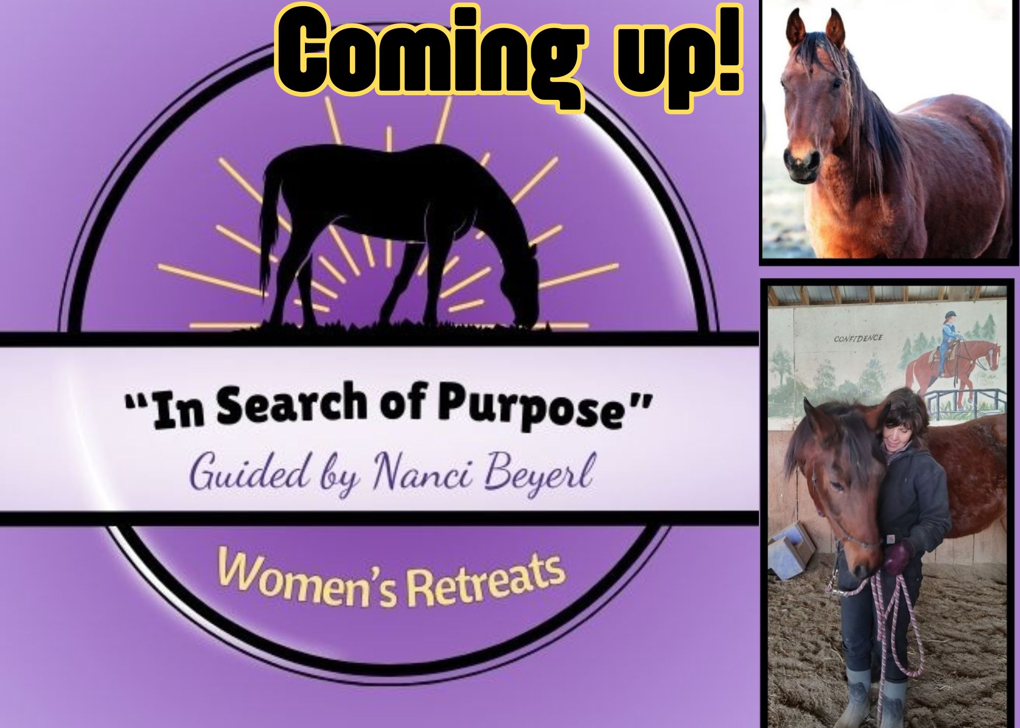 PAH Women's Retreat with Horses "In Search of Purpose" with Nanci Beyerl